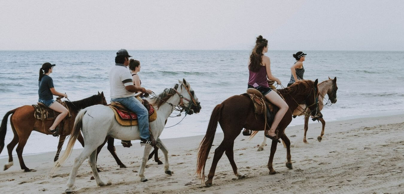 Прогулки на лошадях в Фетие: природа, спокойствие и эмоции